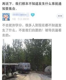 河北美院爆料视频最新消息,揭秘校园内幕，视频揭露惊人真相